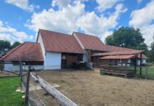 Rejtett kincsek Keszthely és a Balaton környékén